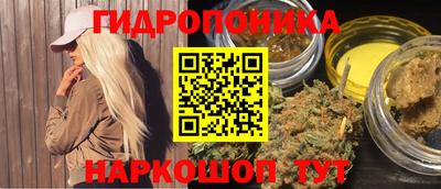 мдпв Заводоуковск