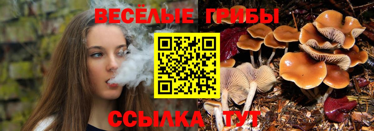 Псилоцибиновые грибы мицелий Узловая