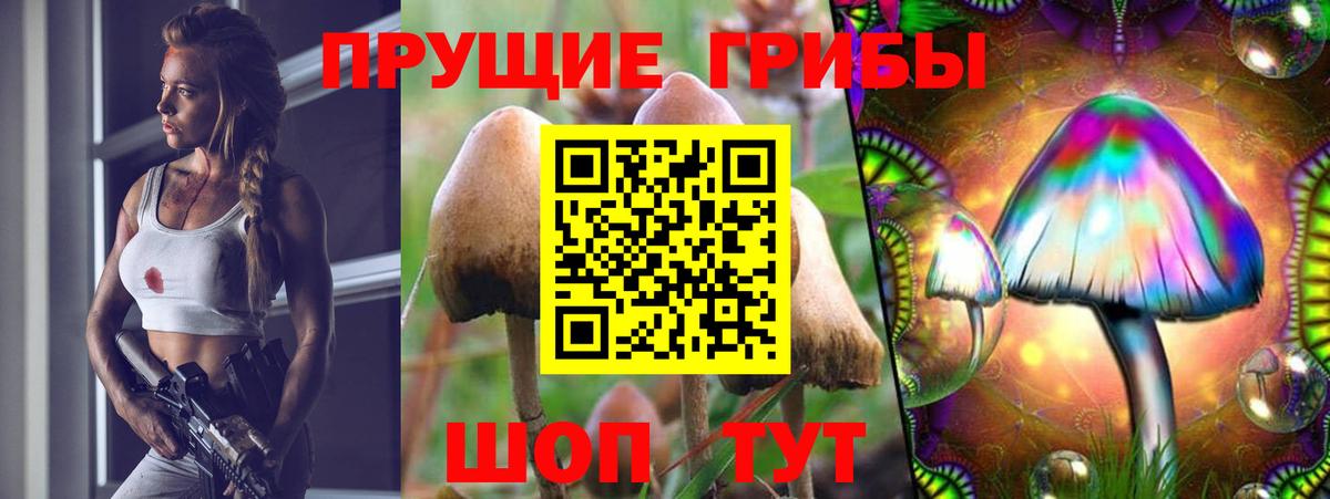 Псилоцибиновые грибы GOLDEN TEACHER  магазин продажи наркотиков  Узловая  Вход с VPN 